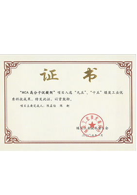 2005年1月MCA高分子促凝劑獲“九五、十五”科技成果獎