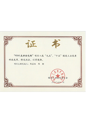 2005年1月PCAS灰砂活化劑獲“九五、十五”科技成果獎(jiǎng)